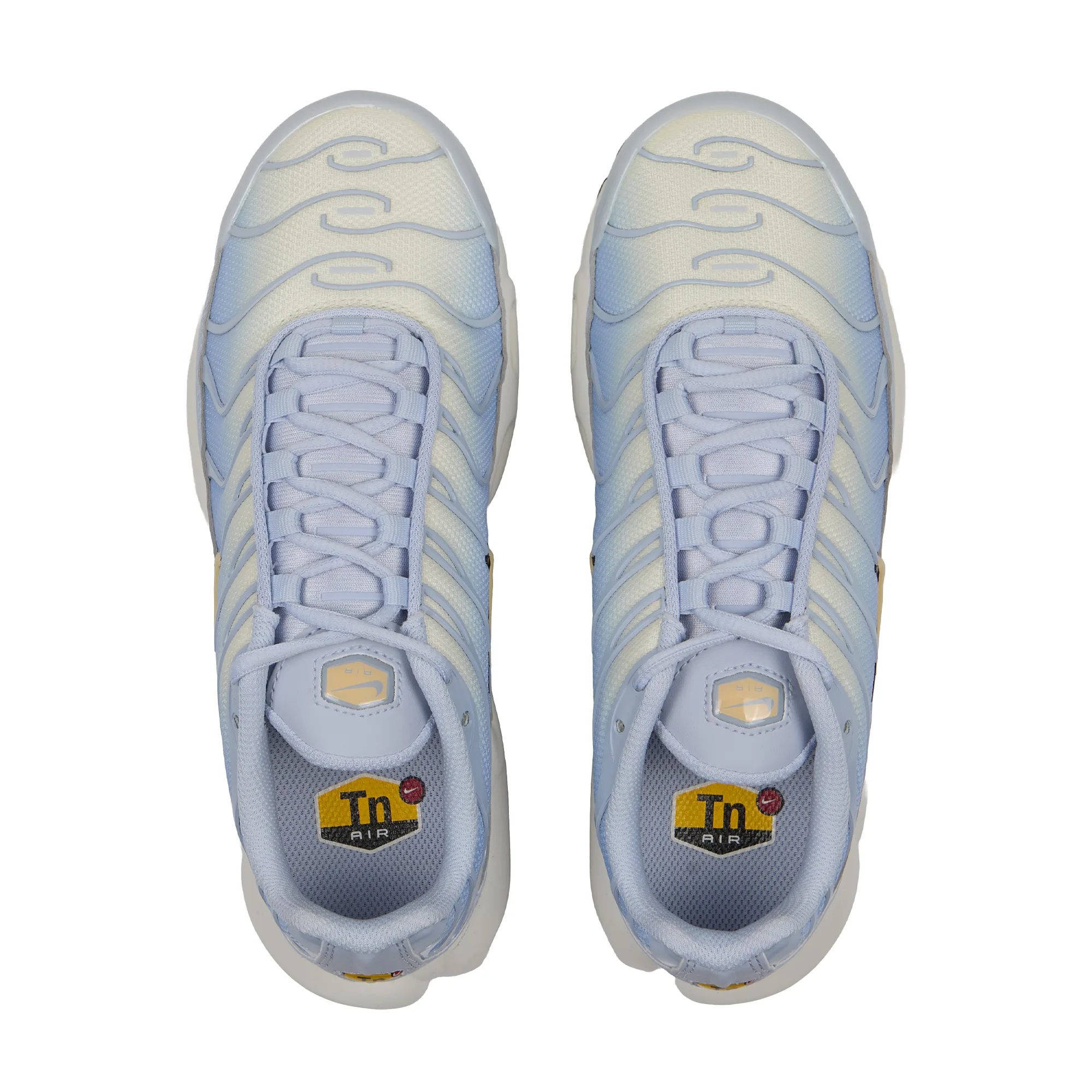 Кроссовки Nike Air Max Plus 'Ghost/Aluminium/Black/Pale Vanilla' (W)