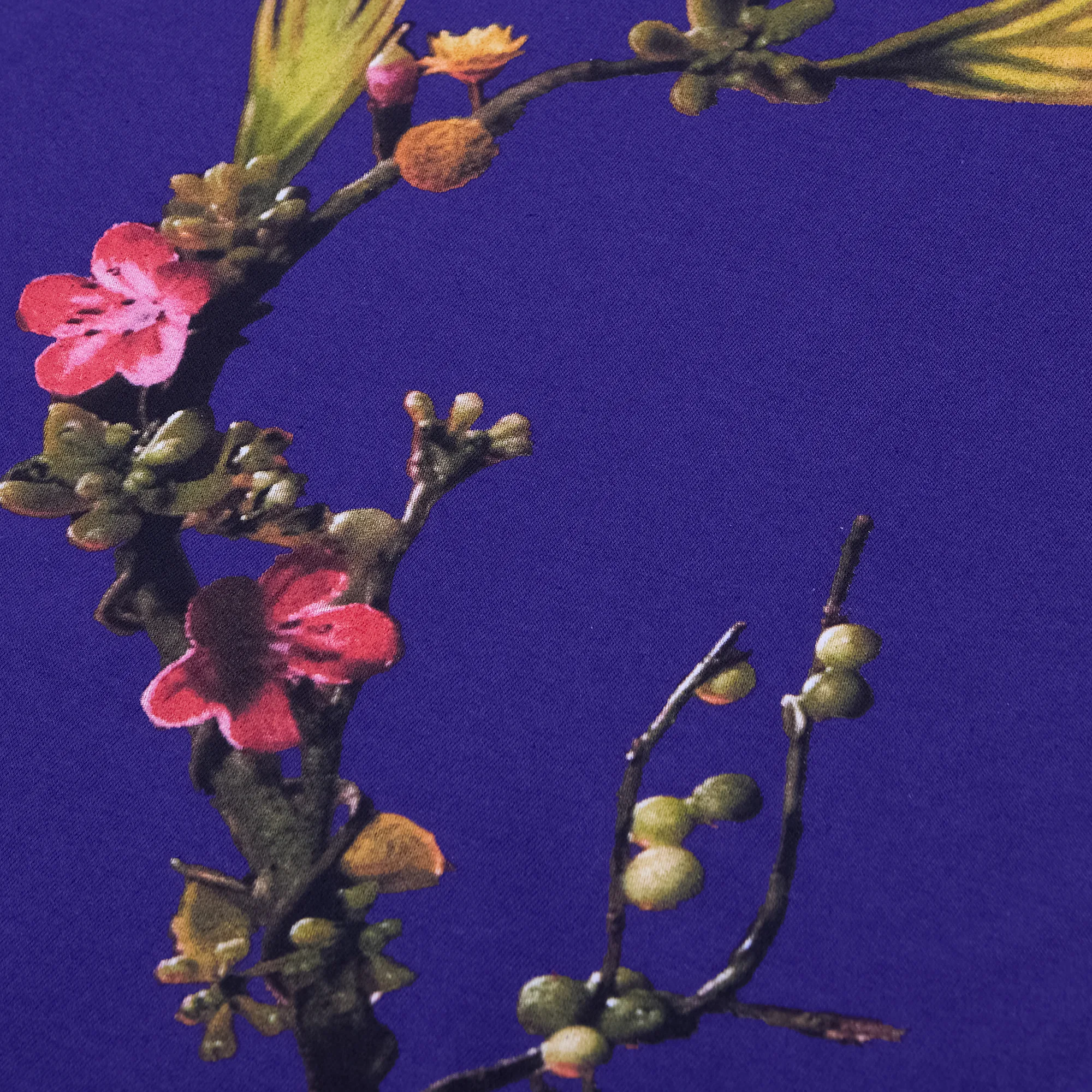 Худи Travis Scott Cactus Jack 90210 Monochrome Hoodie Purple